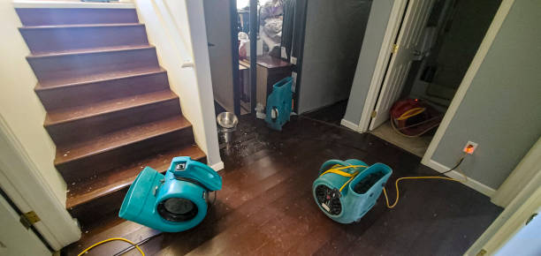 Best Water damage cleanup near me  in Amesti, CA