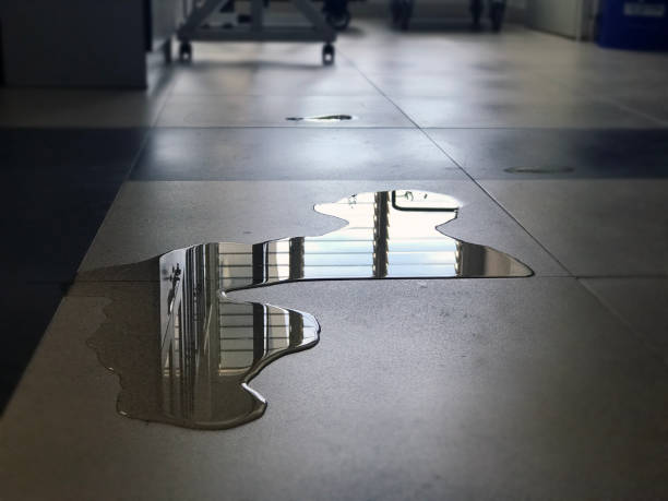 Amesti, CA Water damage restoration Company