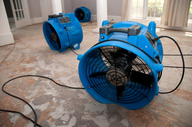 Best Professional water damage repair  in Amesti, CA
