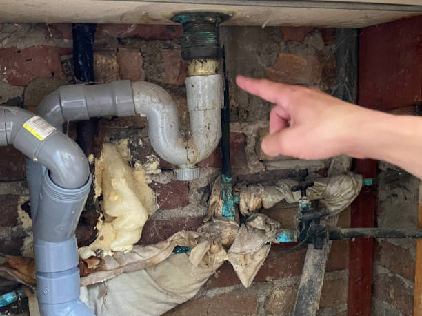 Best Basement water damage restoration  in Amesti, CA