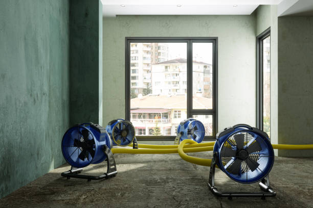 Best Commercial water damage restoration  in Amesti, CA