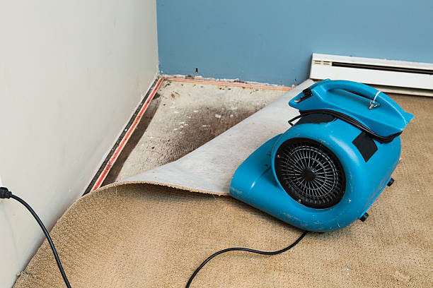 Best Water damage restoration experts  in Amesti, CA